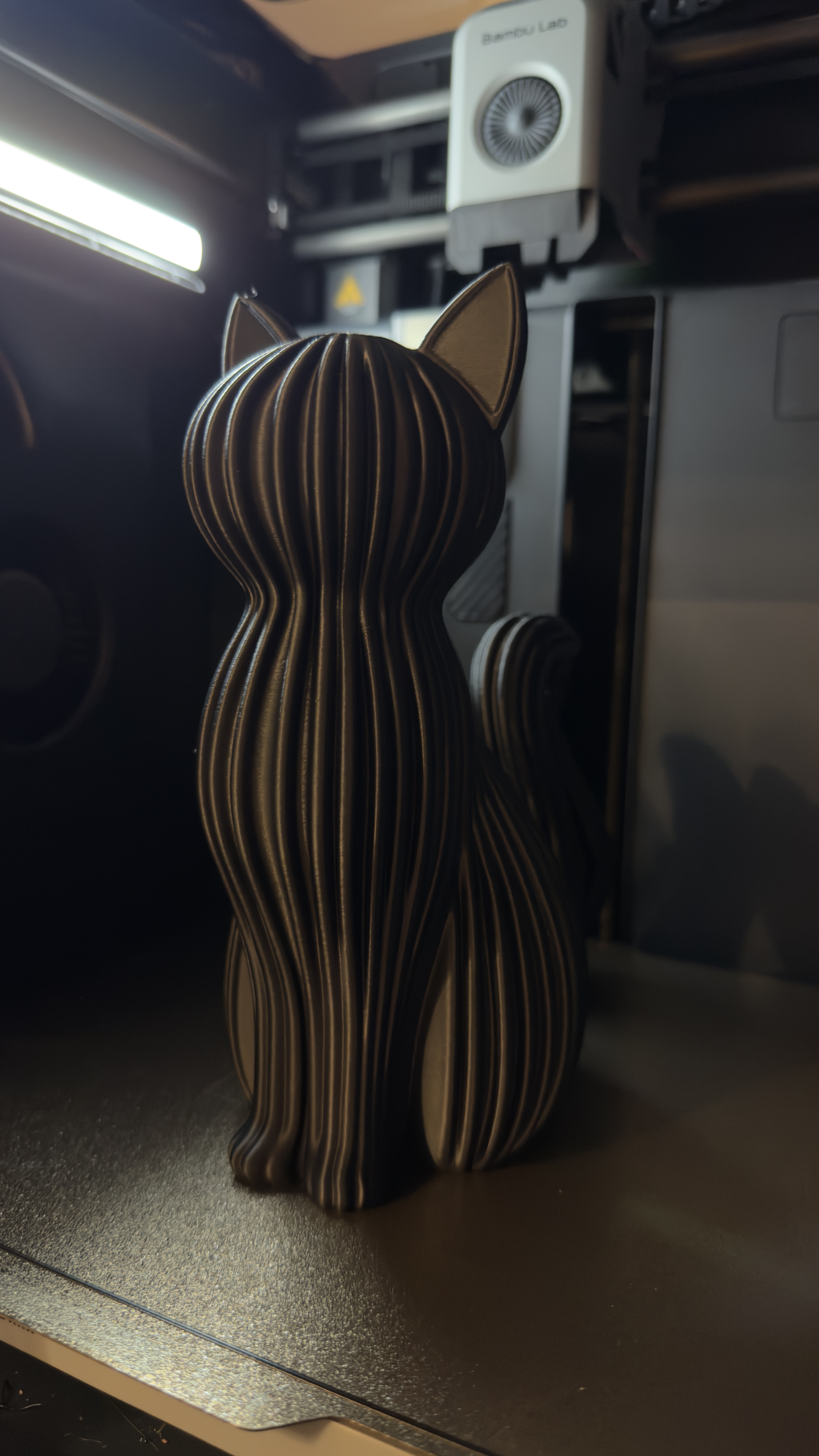 Portfolio 8