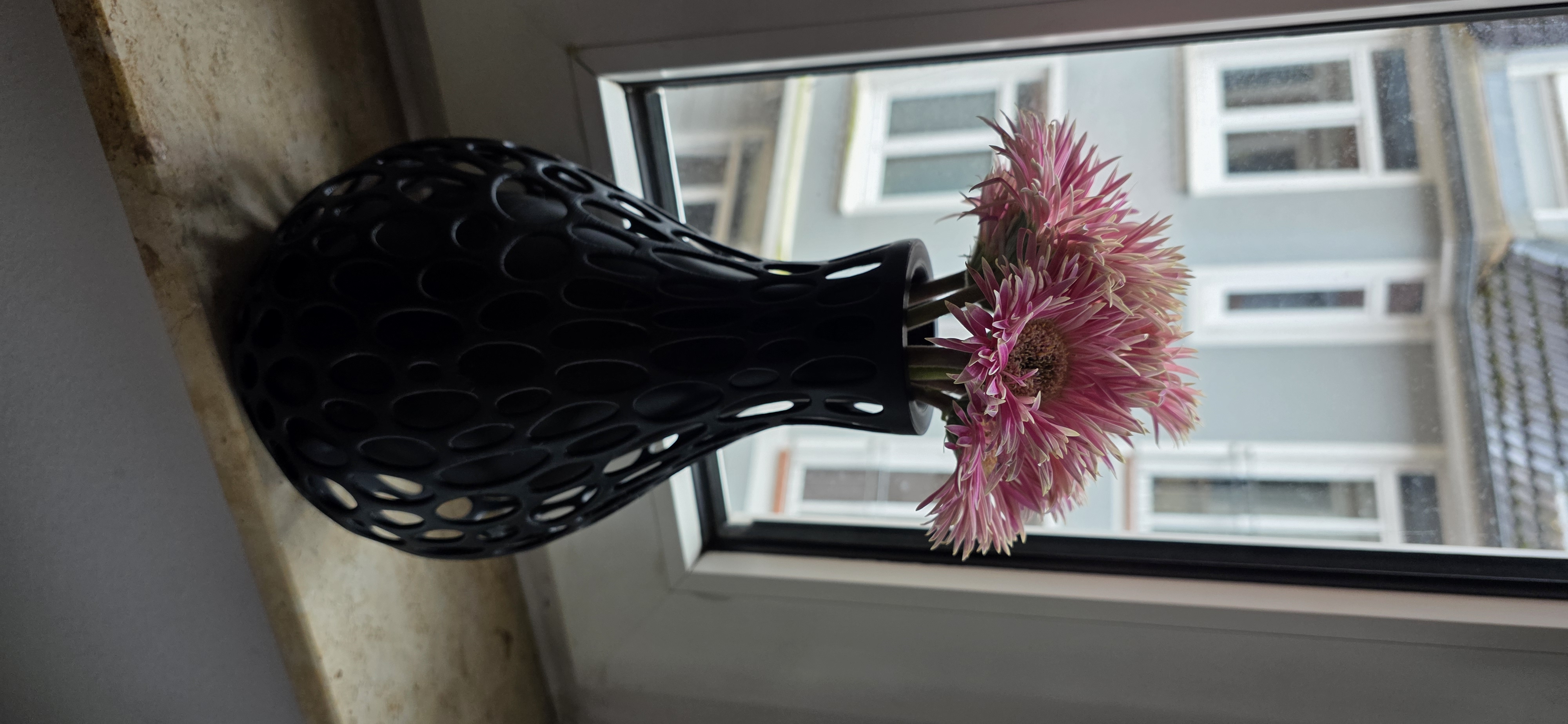 Portfolio 10