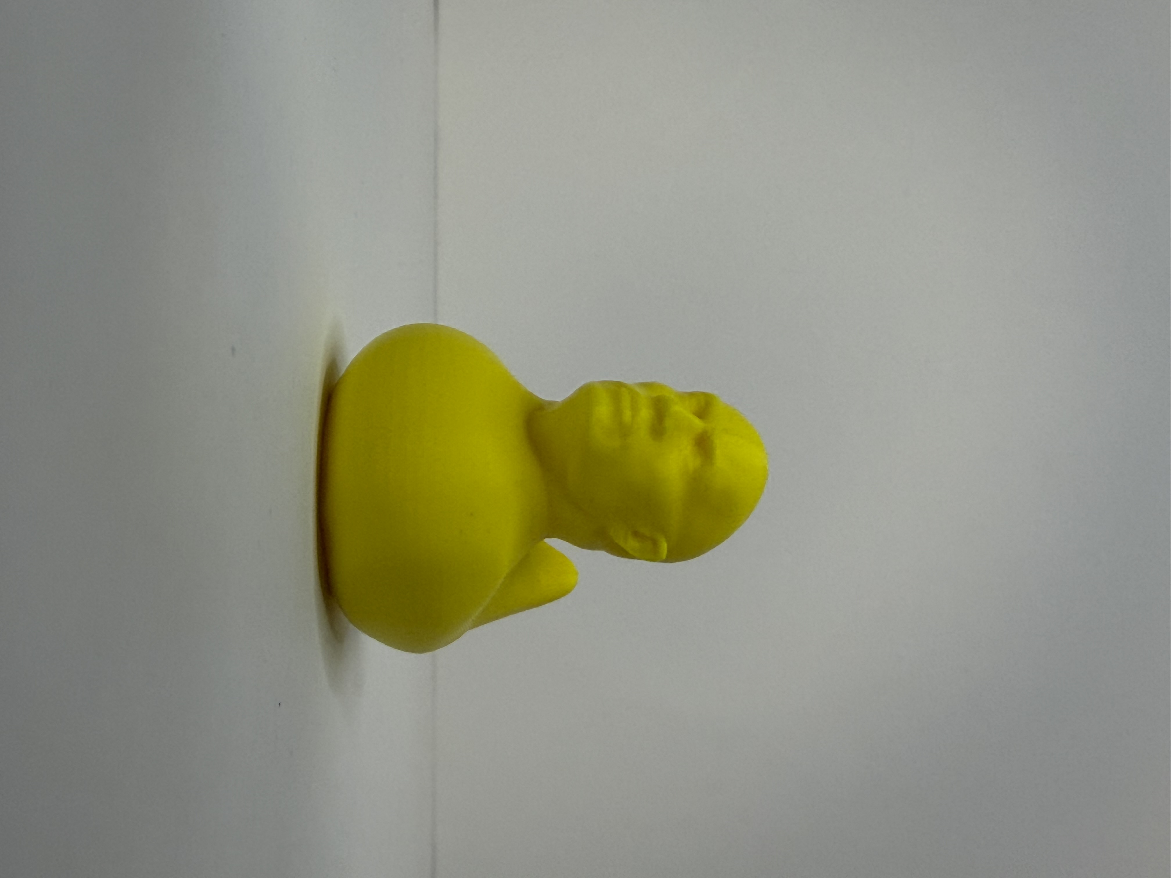 Portfolio 6
