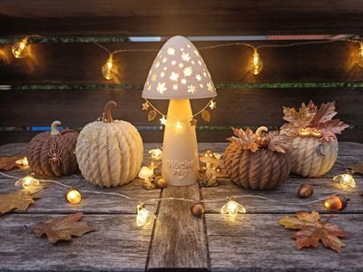 Herbst-Deko-Set: Geflochtene Kürbisse & beleuchtete „Glückspilz“-Lampe