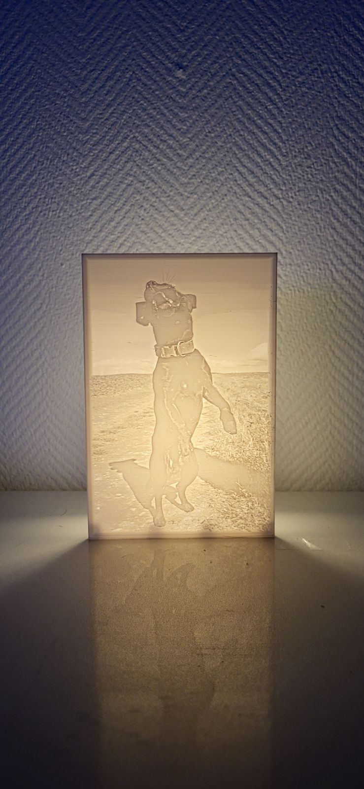 Lithophan